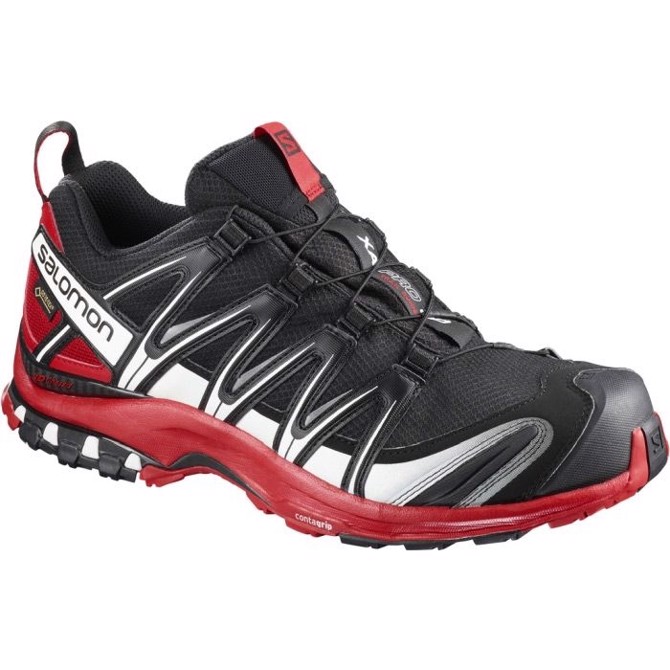 Salomon XA Pro 3D GTX sko, black/barbados cherry